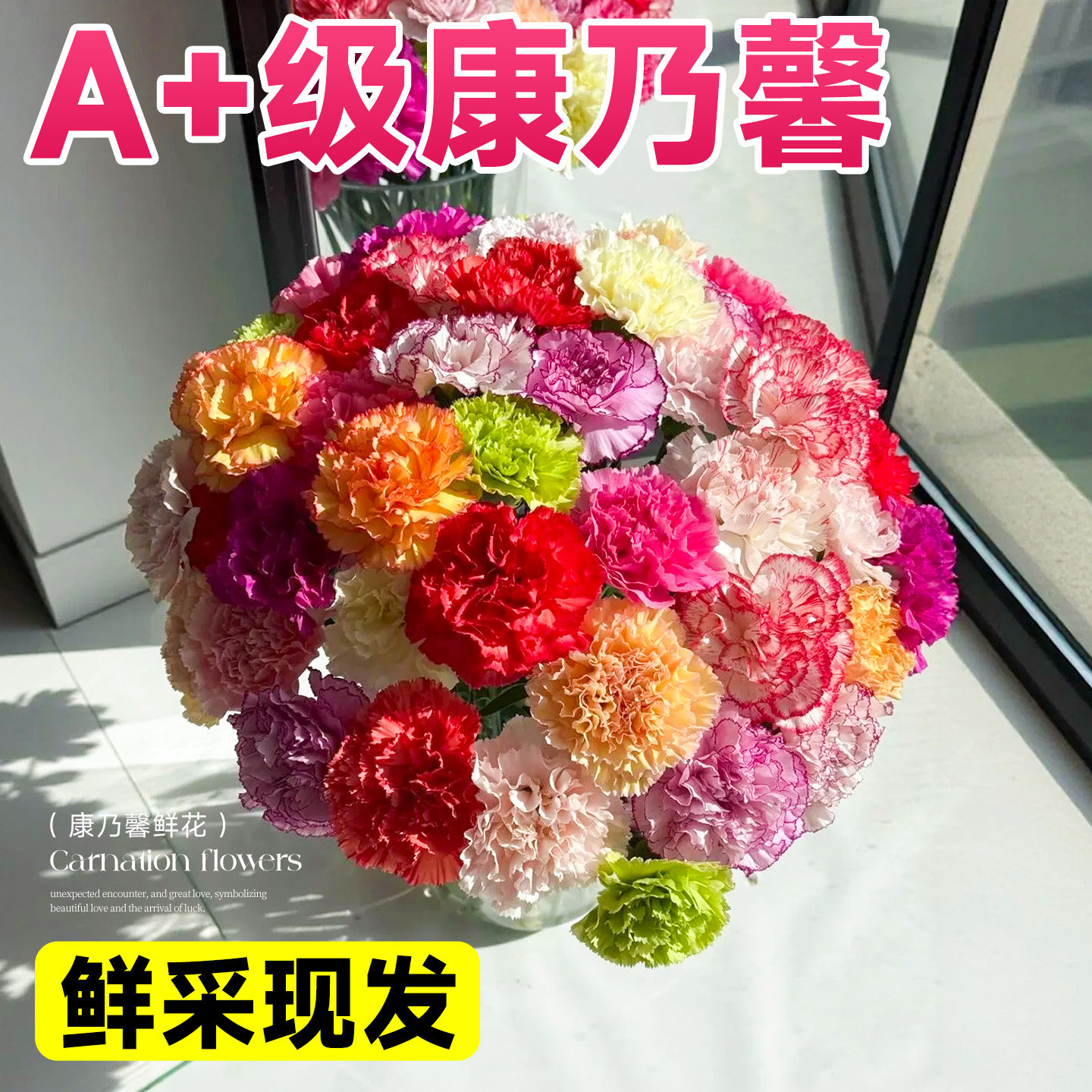 康乃馨鲜花批发云南基地直发水培植物家用插花束鲜切真花卉顺丰
