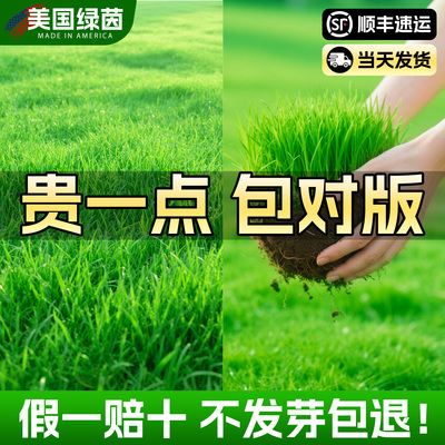 【美国绿茵™】100%正品包对版