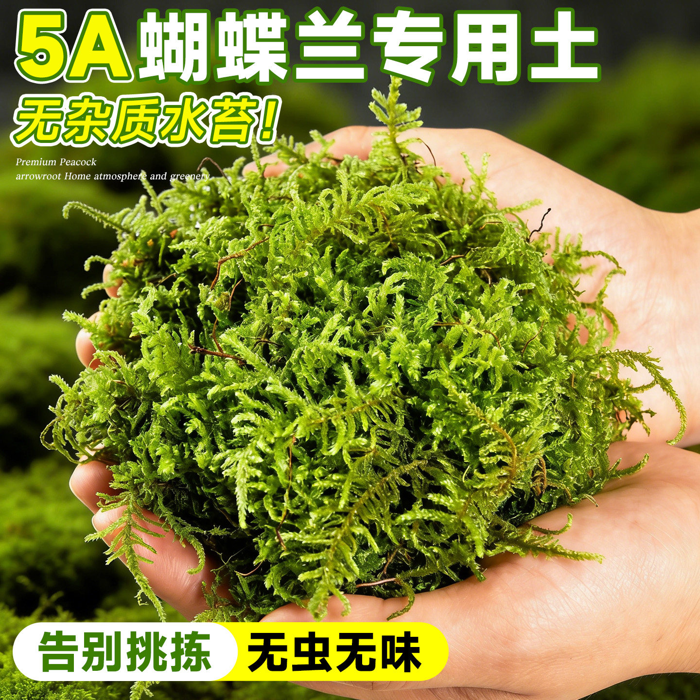 水苔蝴蝶兰专用土精品干苔藓天然无菌青苔兰花石斛植物种植营养土
