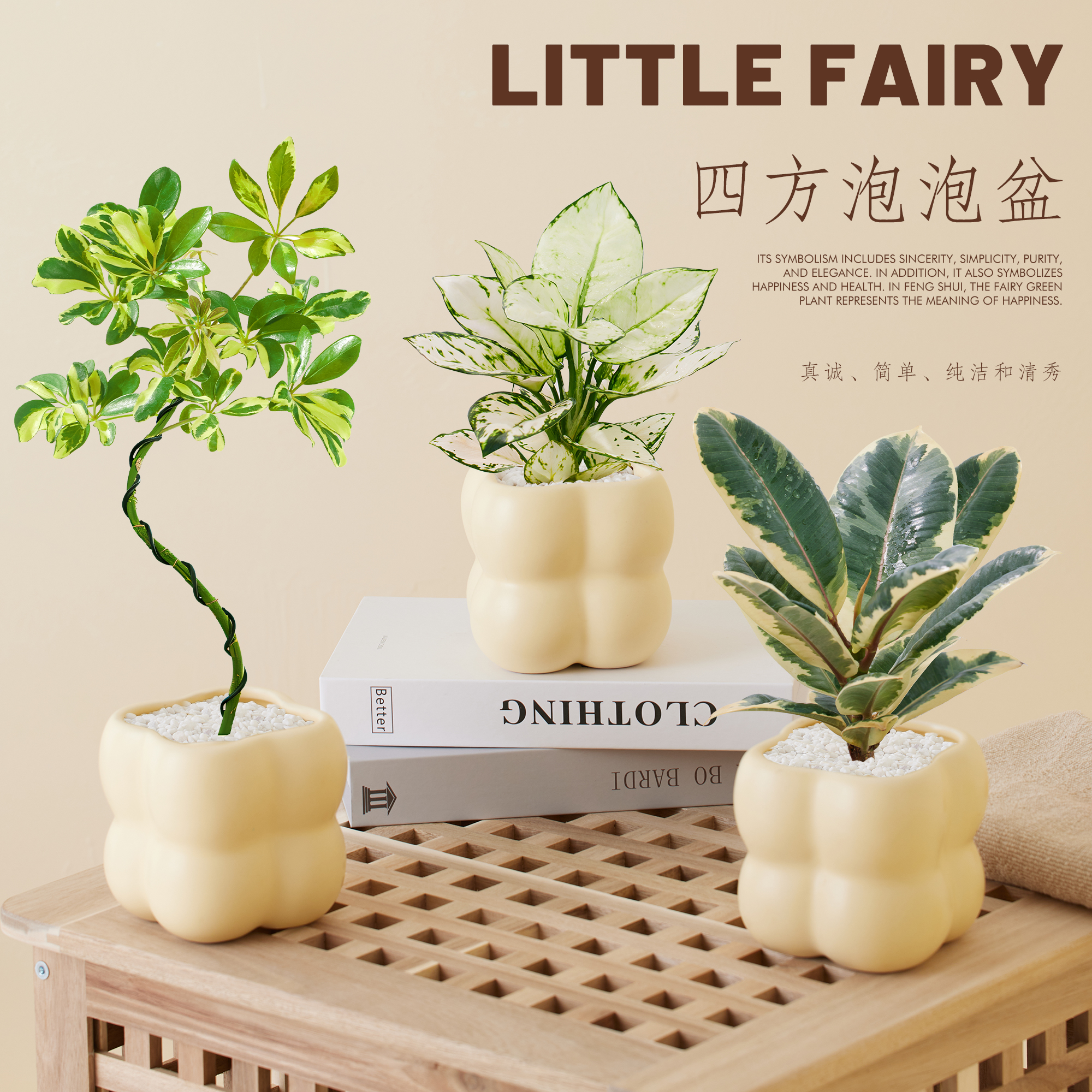 桌面创意绿植清新空气四季常青