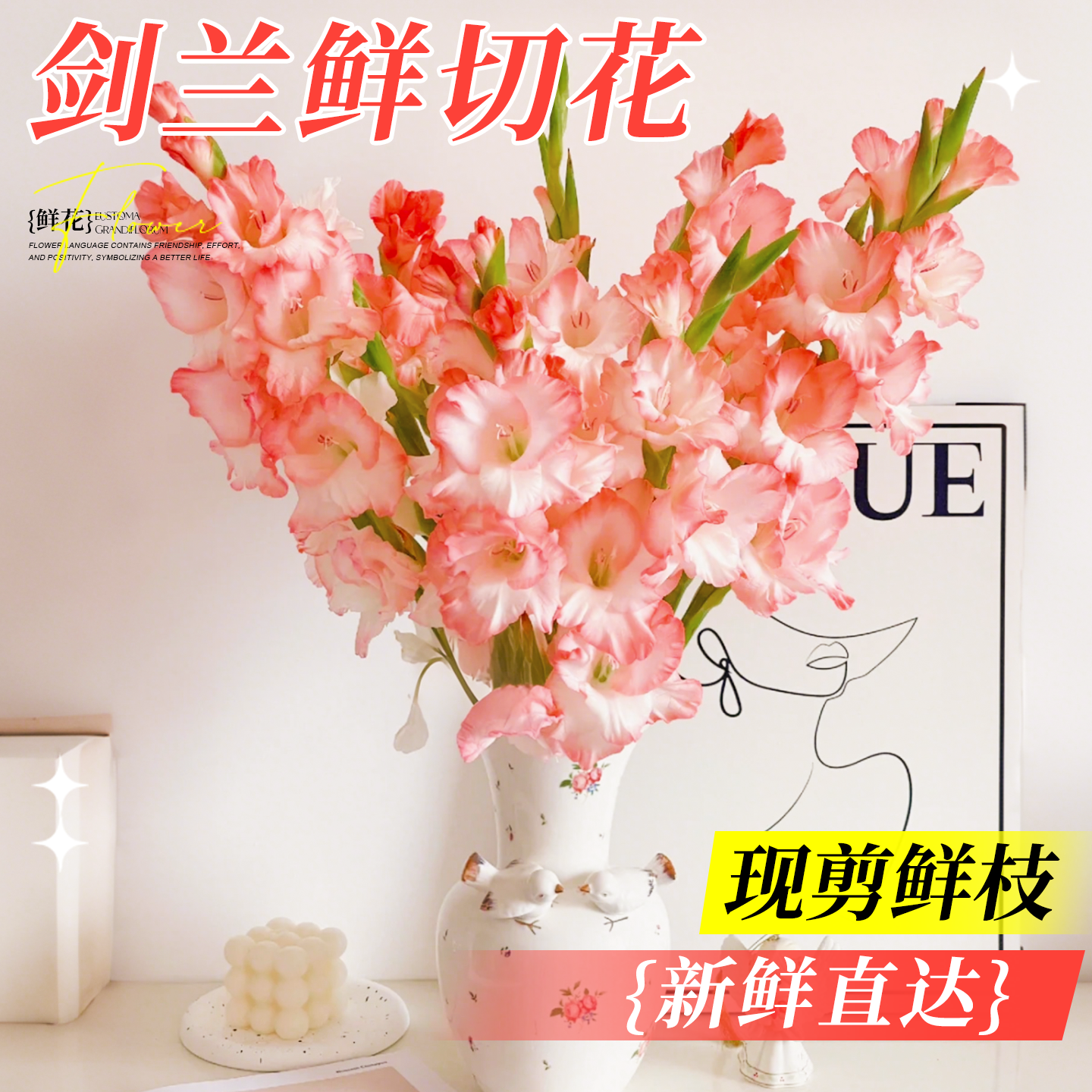【新鲜到家】A+级剑兰鲜花