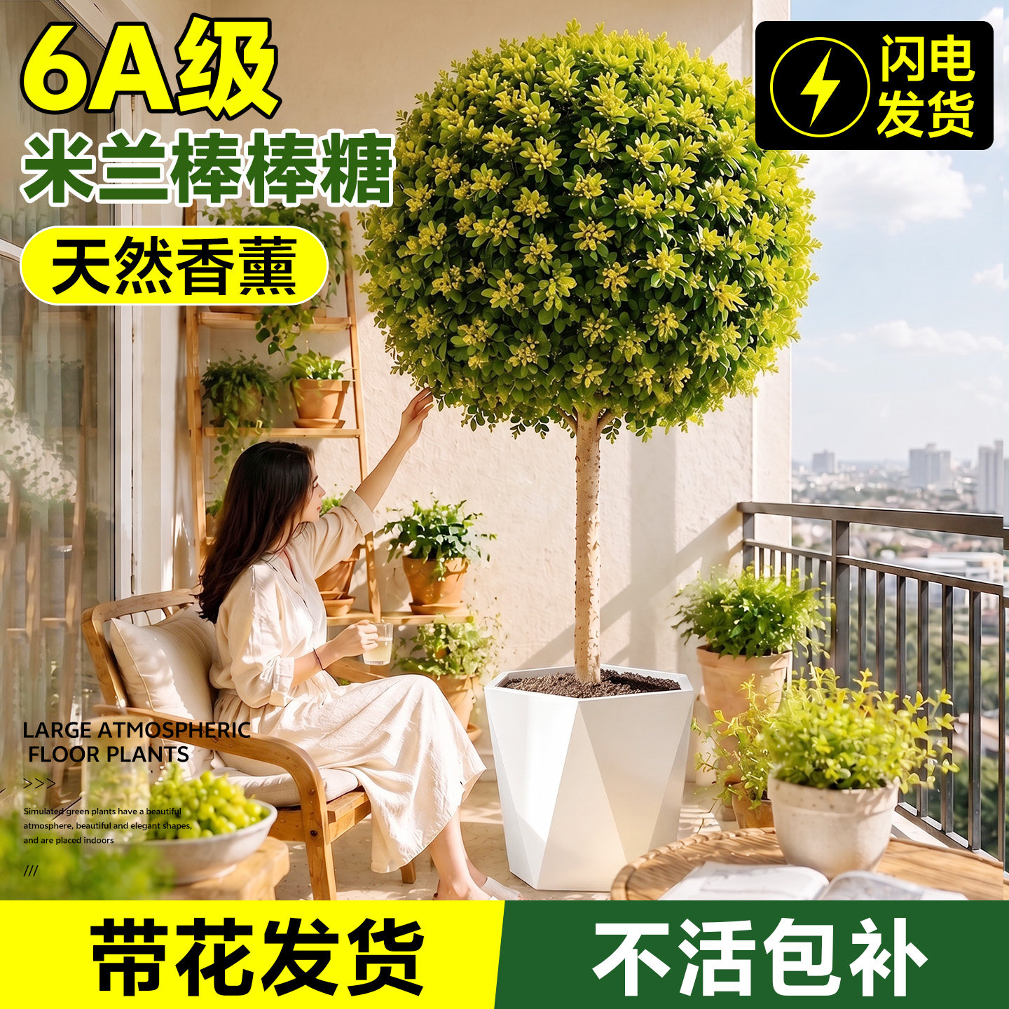 【爆花机器】6A级米兰不活包补图片
