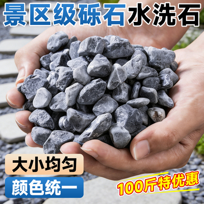 【送货上门】景区级同款精品砾石