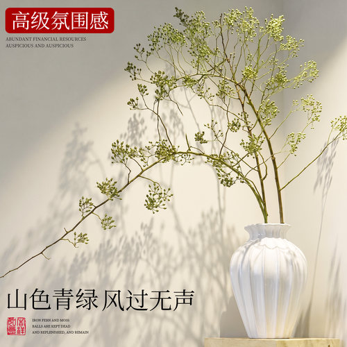 【氛围感绿植]山归来鲜切干花