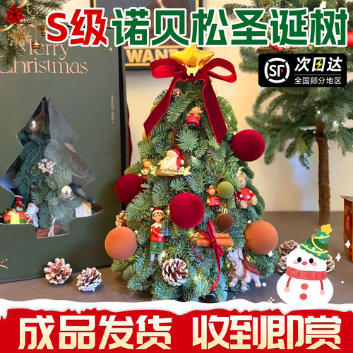 诺贝松圣诞树鲜切现发圣诞节摆件