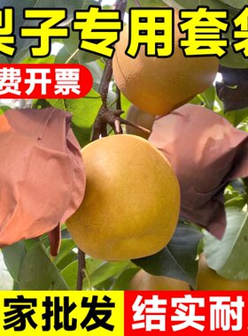 梨子套袋水果专用防虫防鸟神器