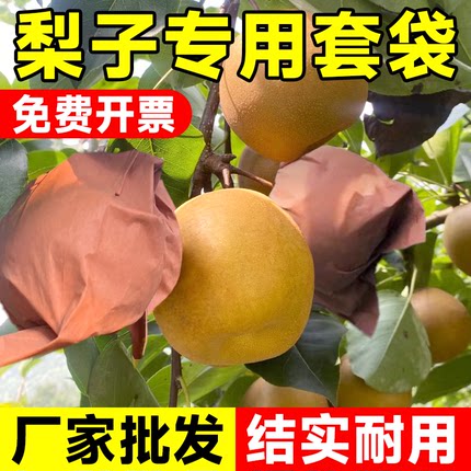 梨子套袋秋月梨水果套袋果蔬袋草莓葡萄桃子专用纸袋防虫防鸟神器