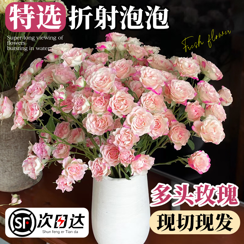 多头小玫瑰鲜切花束云南基地直发