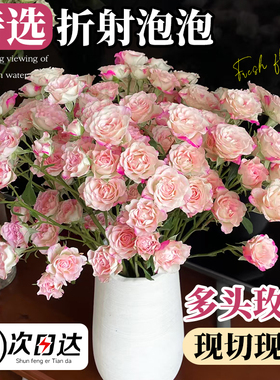 多头小玫瑰鲜切花云南基地直发折射橙色芭比泡泡家用插花水培花束