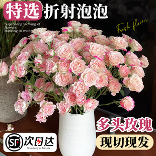多头小玫瑰鲜切花云南基地直发折射橙色芭比泡泡家用插花水培花束