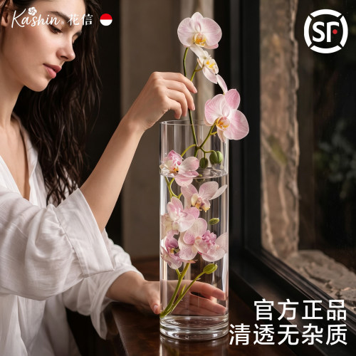 花瓶摆件客厅插花玻璃轻奢高级感透明高直筒富贵竹雪柳百合落地大
