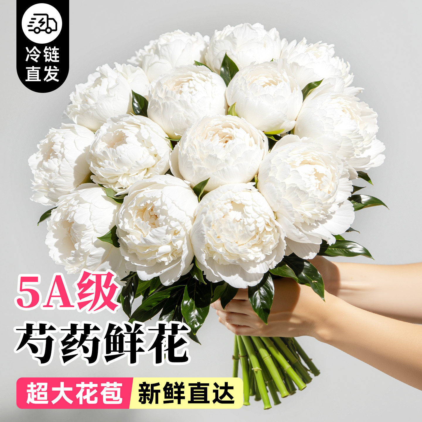 芍药鲜花云南直发落日珊瑚重瓣花束进口山东油画牡丹百合鲜切花卉