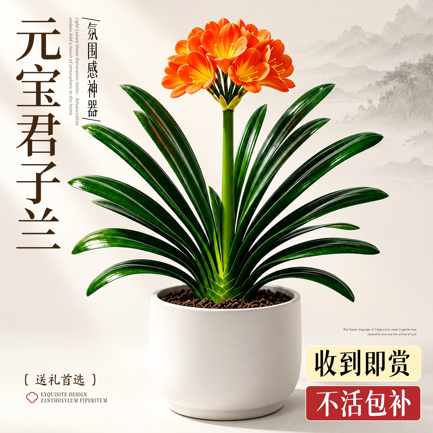 元宝君子兰高端盆栽国宝级