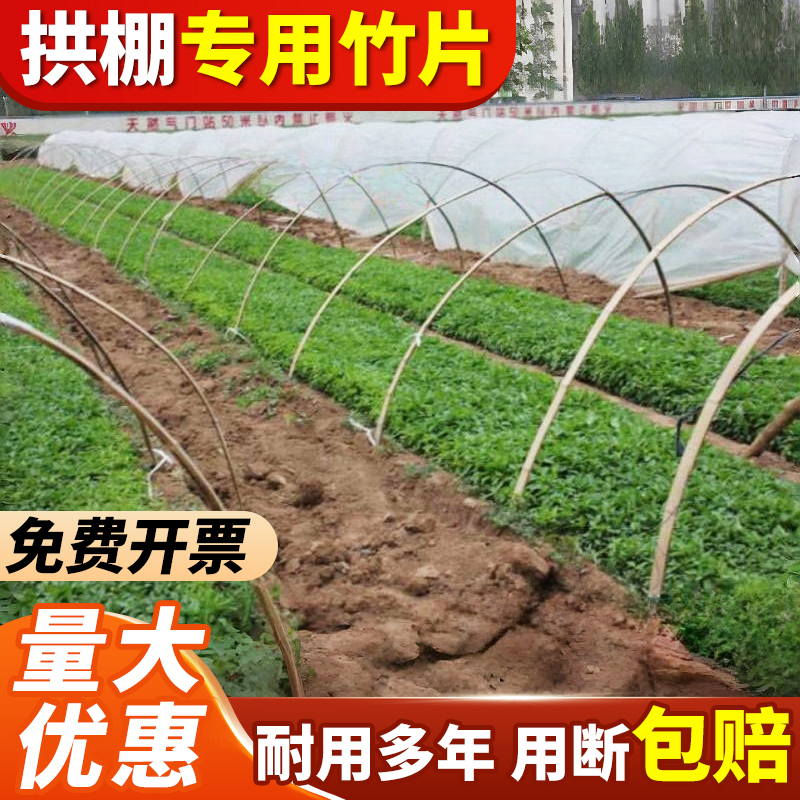 10根专拍竹片竹条菜园拱棚支架