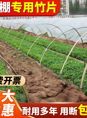 10根专拍竹片竹条菜园大棚拱棚支架蔬菜棚保温防寒过冬搭架竹子条