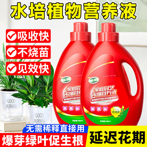 水培植物营养液绿叶爆根延长花期
