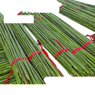 竹竿菜园搭架蚊帐支架实心长竹子杆蔬菜爬藤架黄瓜豆角架旗杆批发