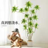 彷真绿色植物百合竹高端轻奢大型彷生假绿植禄氛围树室内客厅装 饰