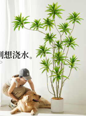 彷真绿色植物百合竹高端轻奢大型彷生假绿植禄氛围树室内客厅装饰