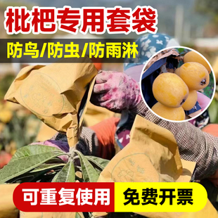 枇杷专用套袋水果套袋防虫防鸟果袋神器葡萄梨子纸袋水果保护套袋