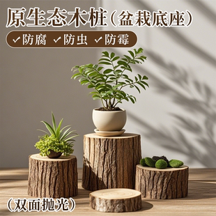 小木桩盆景底座木头桩子木墩子树桩原杉木头桌面拍摄道具装 饰摆件