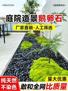 天然鹅卵石黑色雨花石头原石庭院铺地花园挡土石围边鱼缸造景