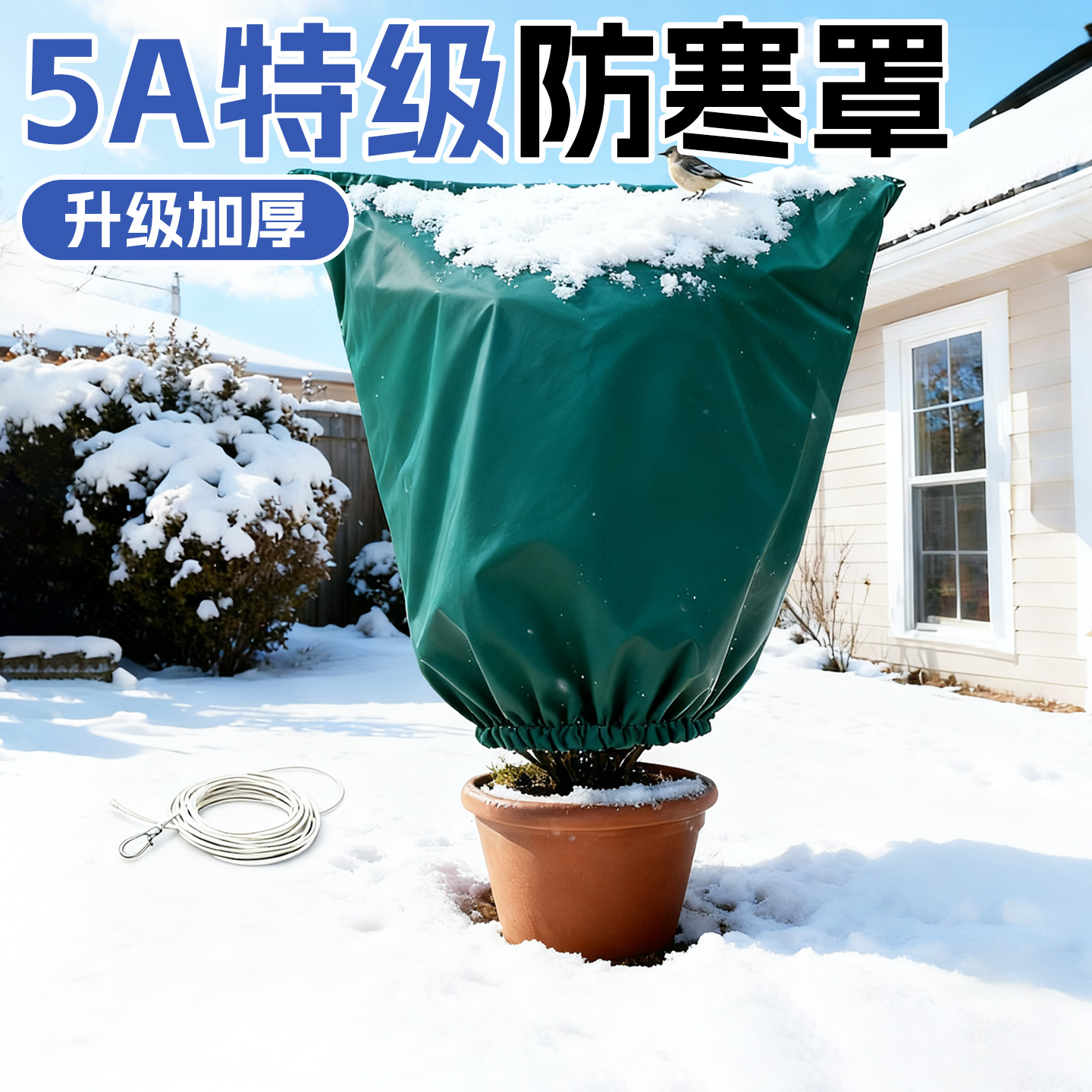 5A特级德国品质植物防寒保暖罩