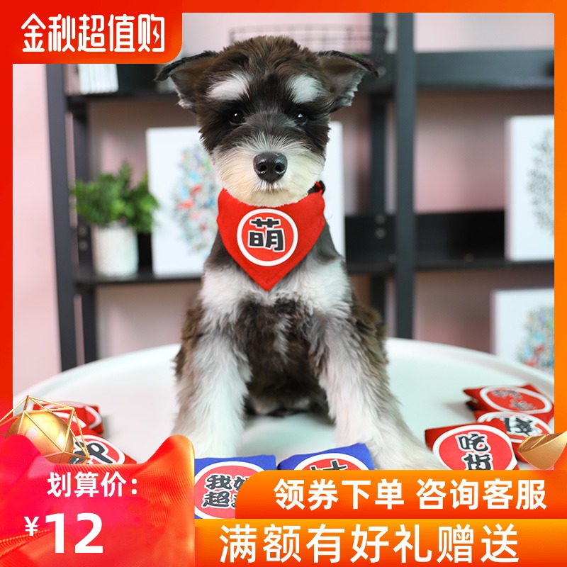 屁屁星球 创意宠物口水巾围嘴围兜猫狗狗中小型犬三角巾配饰围脖在类目 宠物/宠物食品及用品, 宠物服饰及配件, 挂饰/挂牌中 - 来自Buy2taobao.com提供专业的淘宝代购服务