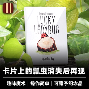 培根魔术 幸运瓢虫 Lucky Ladybug 图案消失再现 近景互动道具