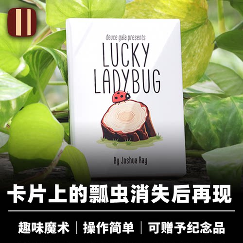 培根魔术 幸运瓢虫 Lucky Ladybug 图案消失再现 近景互动道具