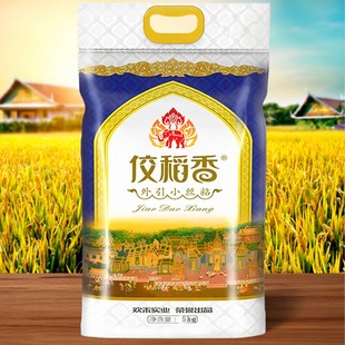 佼稻香5kg袋装软糯煲仔饭米口感小丝粘米好外引丝苗香米长粒香米