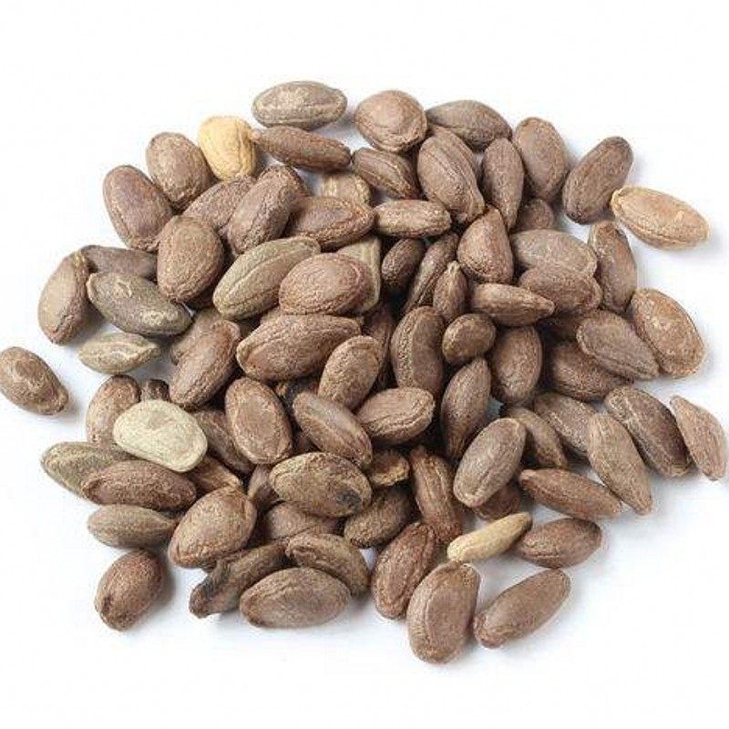 瓜蒌种子材种籽天花粉栝楼吊瓜籽糖瓜籽春季爬藤瓜蒌子种籽孑