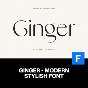 Ginger现代时尚简约高级感轻奢品牌logo海报杂志标题排版英文字体