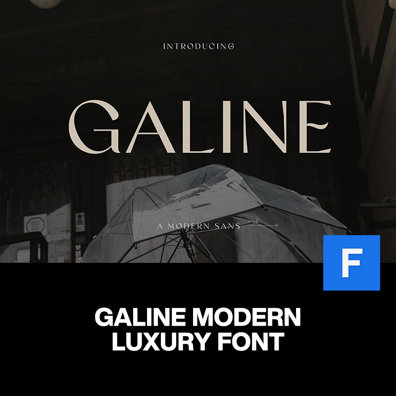 galine现代时尚奢侈品大牌高级感品牌logo排版标题装饰英文字体包