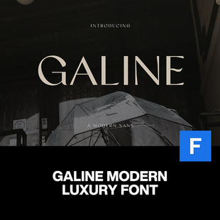 Galine现代时尚奢侈品大牌高级感品牌logo排版标题装饰英文字体包
