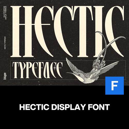 Hectic复古优雅时尚杂志画册广告封面请柬邀请函标题衬线英文字体
