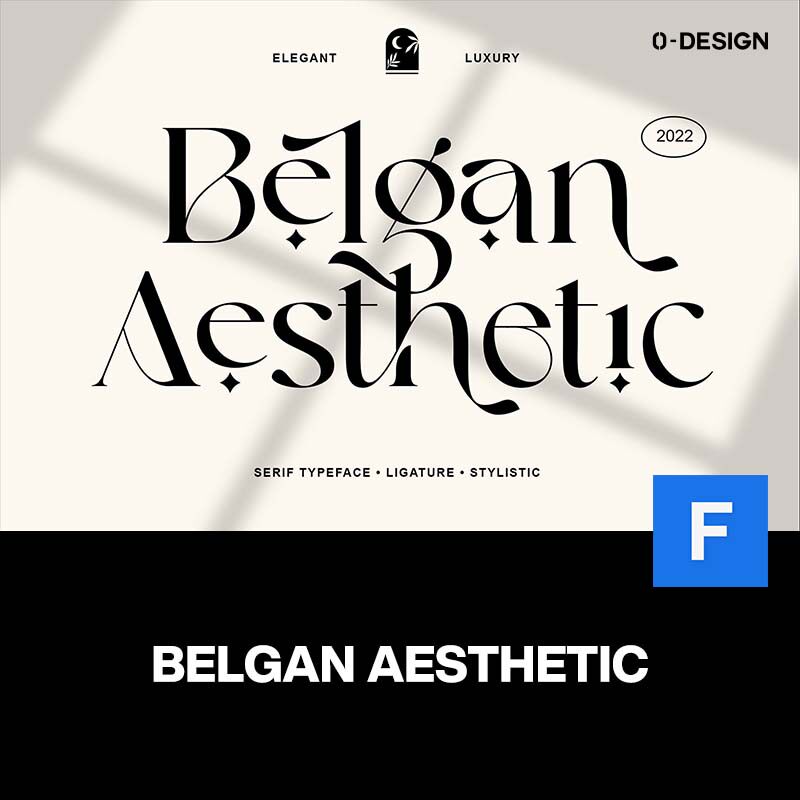 belgan aesthetic复古经典女性优雅酸性潮流品牌logo排版英文字体