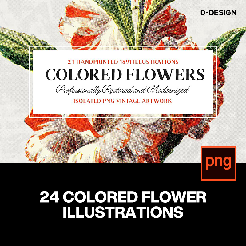 24款复古艺术电分手绘写实植物花卉插画png免抠图片海报设计素材