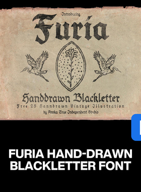 3款FURIA复古粗犷怀旧部落乡村海报手稿封面标题手写英文字体包