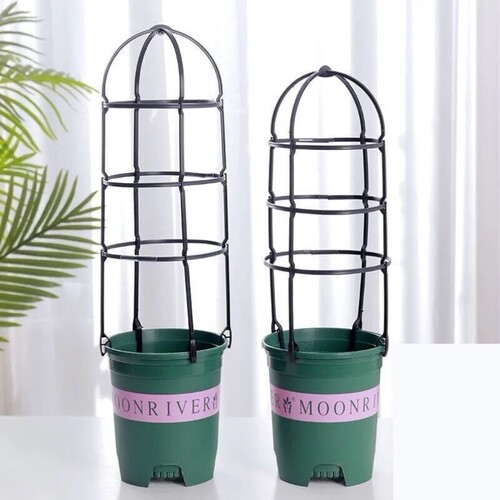 (买一送一)田园爬藤花架飘香藤铁线莲支架阳台室内家用爬藤植物