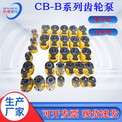 配置普通0C8F  5B优3212齐全 格齿轮油泵B 4 B 规10BBBB质16