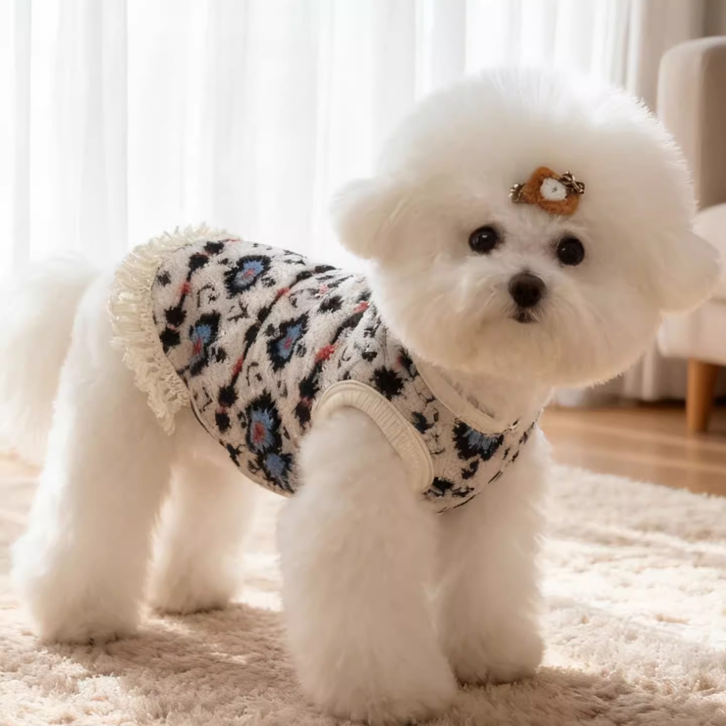 宠物狗衣服加绒保暖猫咪小型犬