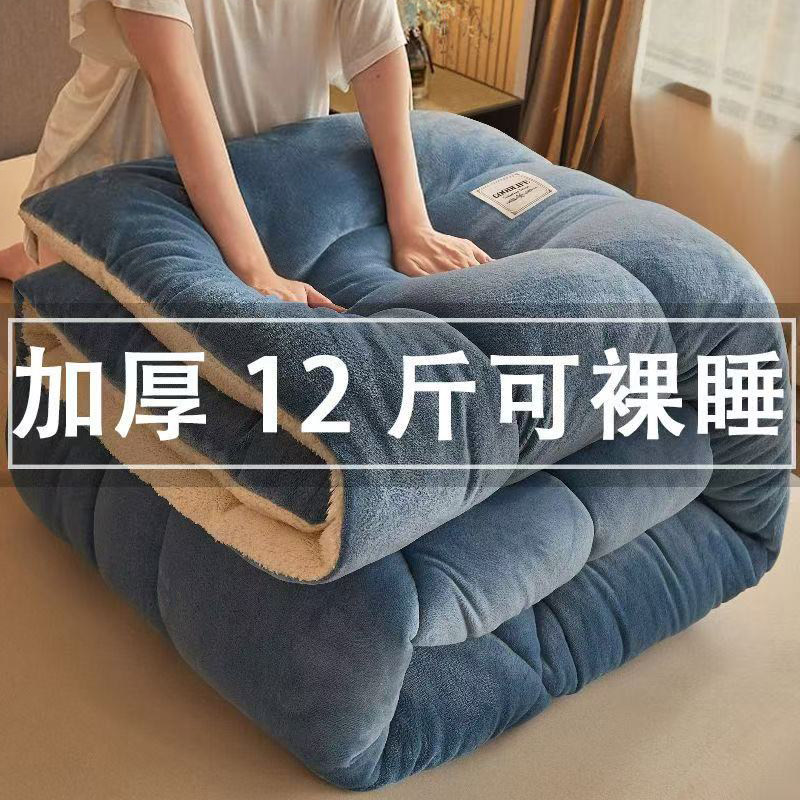 羊羔绒被子2025新款冬季棉被秋冬被加厚保暖10斤冬天宿舍单人被芯,床上用品,化纤被,淘宝优惠券,粉丝福利购,淘宝优惠卷