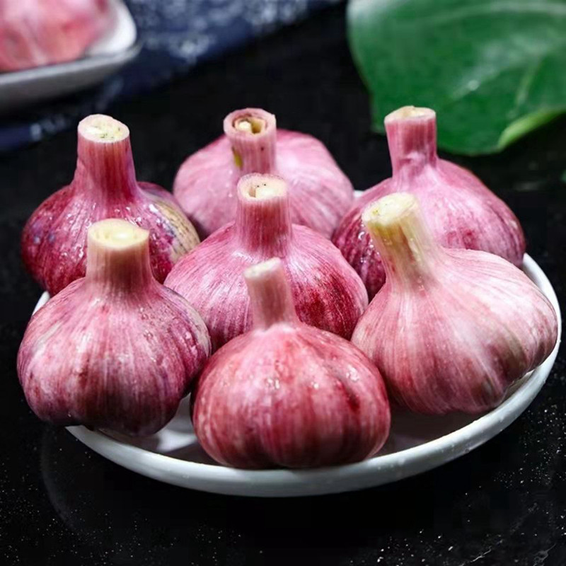 2026新挖紫皮鲜蒜云南农家新鲜大蒜头糖醋红蒜紫皮独头蒜瓣