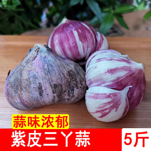 云南紫皮大蒜独头湿蒜三瓣两瓣三丫鲜蒜红皮香蒜包邮分蒜瓣蒜