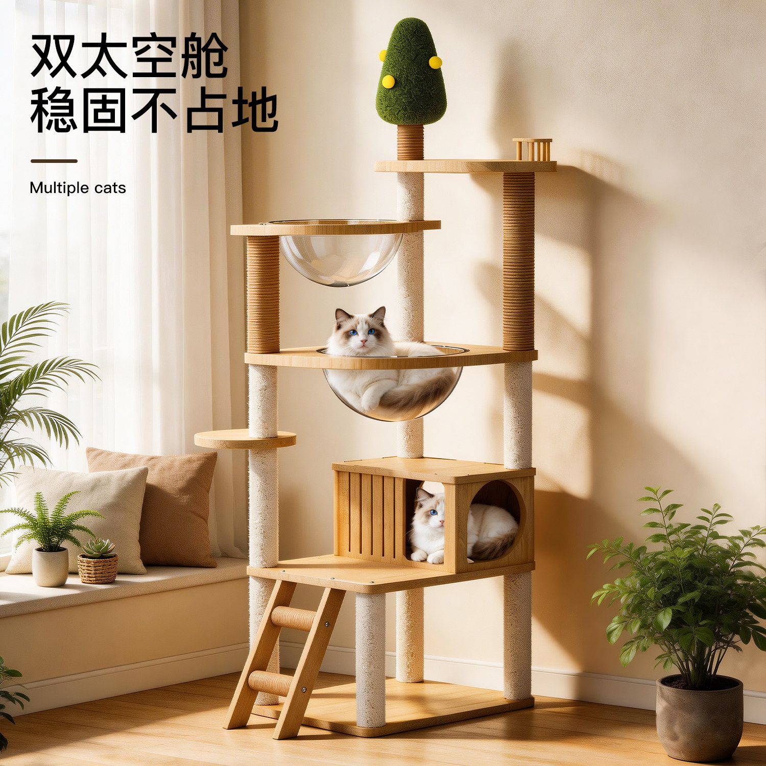 猫爬架猫窝一体双太空舱不占地图片