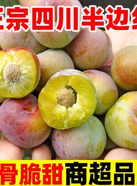 四川半边红脱骨脆红李当季鲜果