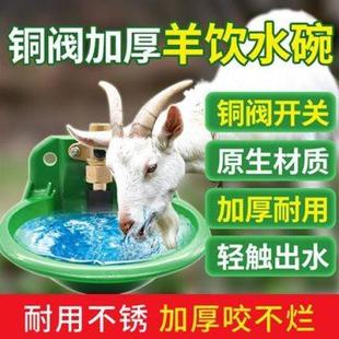 華畜羊用飲水器飲水碗銅閥頭加厚工程塑料羊喂水自動喝水碗羊水碗