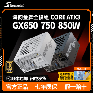 海韵750W电源CORE GX650W 850W金牌全模组ATX3主机台式机电脑电源