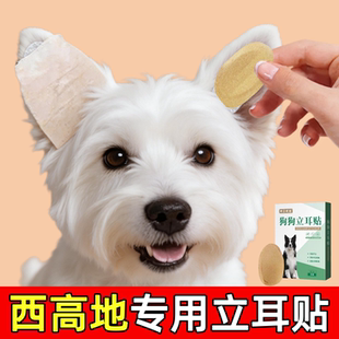 西高地专用立耳神器立耳贴狗狗立耳朵辅助器幼犬立耳器小狗竖耳器